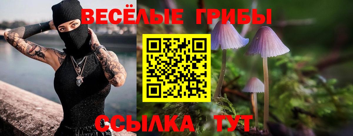 Псилоцибиновые грибы Magic Shrooms  Вход с VPN  Славянск-на-Кубани 